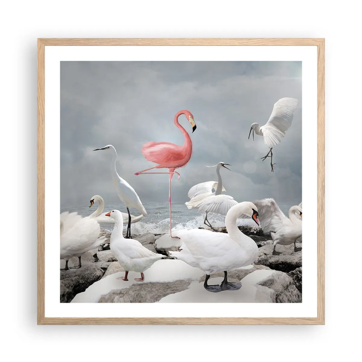 Affiche dans un chêne clair - Poster - Comment suis-je arrivé là? - 60x60 cm