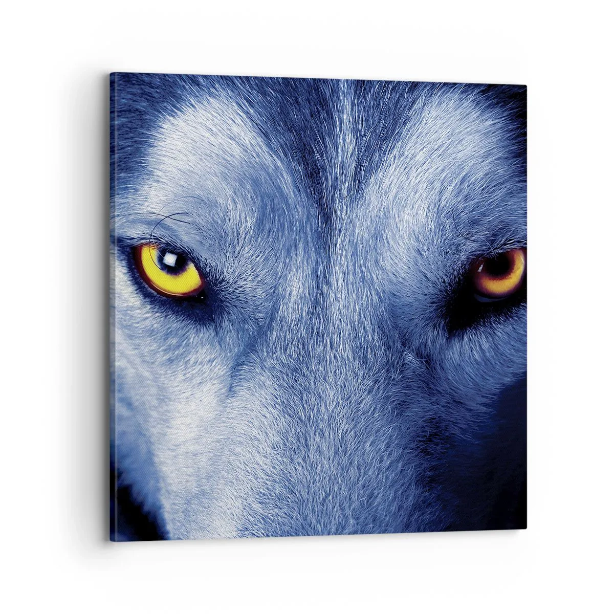 Impression sur toile - Image sur toile - Regars hypnotique - 70x70 cm