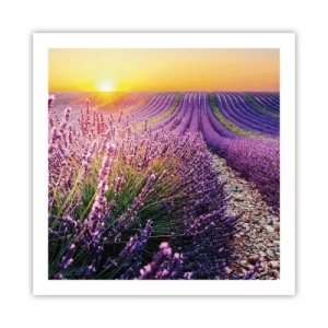 Affiche - Poster - Tige parfumée - 60x60 cm