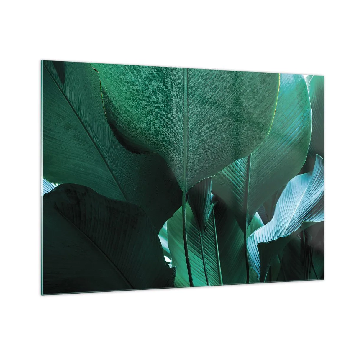 Impression sur verre - Image sur verre - Feuilles tropicales aux nuances de vert intenses - 100x70cm - Tourné vers la lumière - Décoration murale moderne pour le salon et la chambre ARTTOR