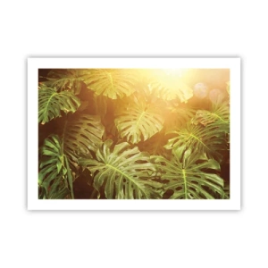 Affiche - Poster - Se fondre dans la verdure - 70x50 cm