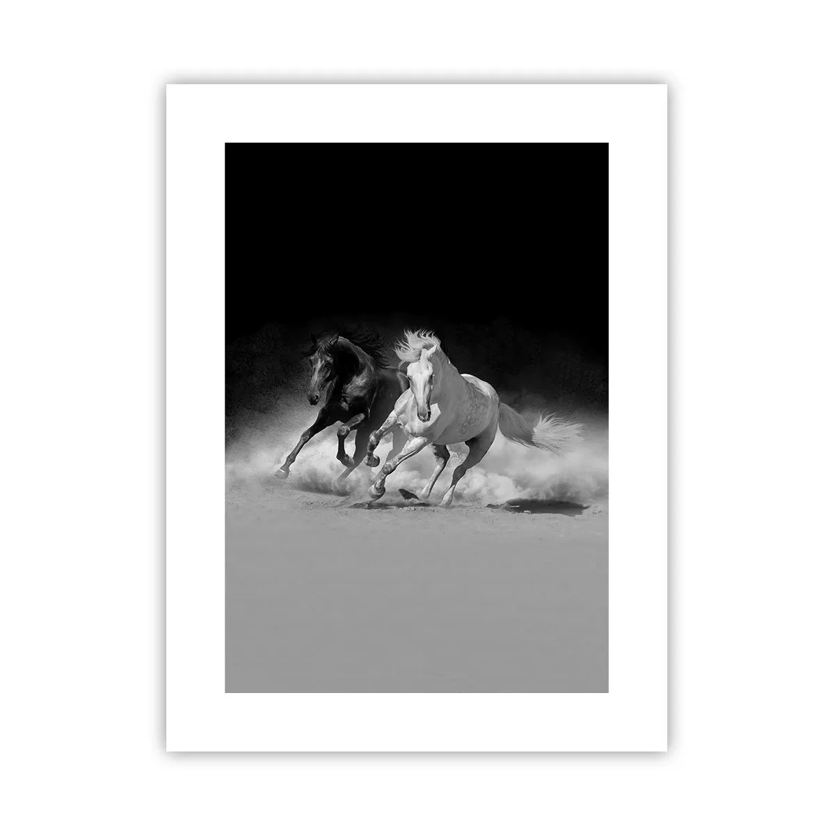 Affiche - Poster - Galop de la liberté - 30x40 cm