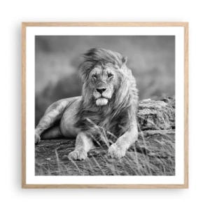 Affiche dans un chêne clair - Poster - Sieste royale - 60x60 cm