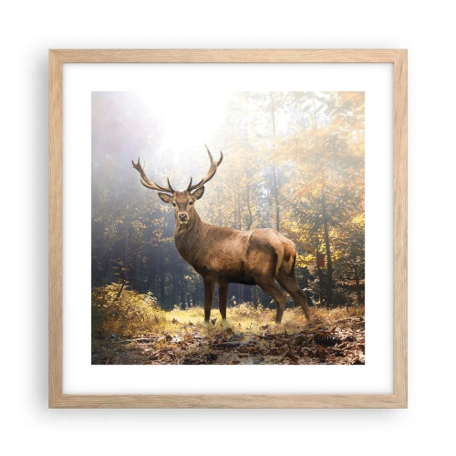Affiche dans un chêne clair - Poster - Toute sa majesté - 40x40 cm