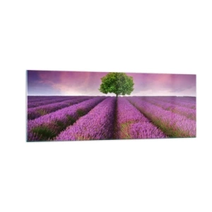 Impression sur verre - Image sur verre - Un champ de lavande avec un arbre solitaire et un ciel violet - 140x50cm - Dans un champs de lavande - Décoration murale moderne pour le salon et la chambre ARTTOR