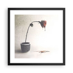 Affiche dans un cadre noir - Poster - Rosa dolorosa - 40x40 cm