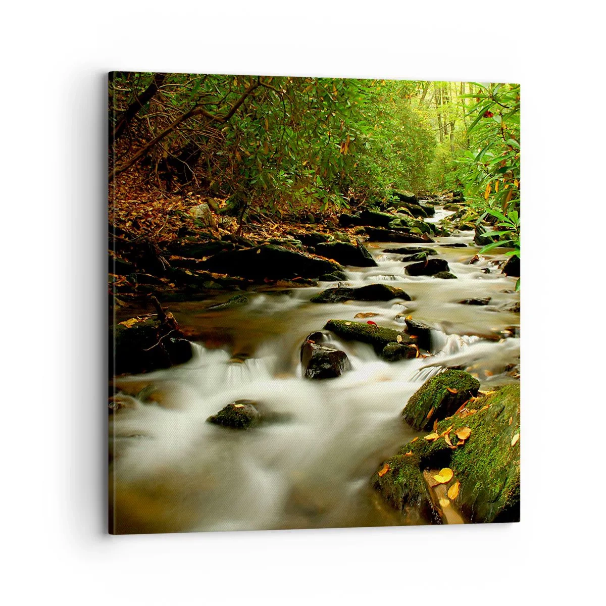 Impression sur toile - Image sur toile - Comme de l'argent liquide - 70x70 cm