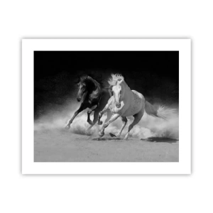 Affiche - Poster - Galop de la liberté - 50x40 cm