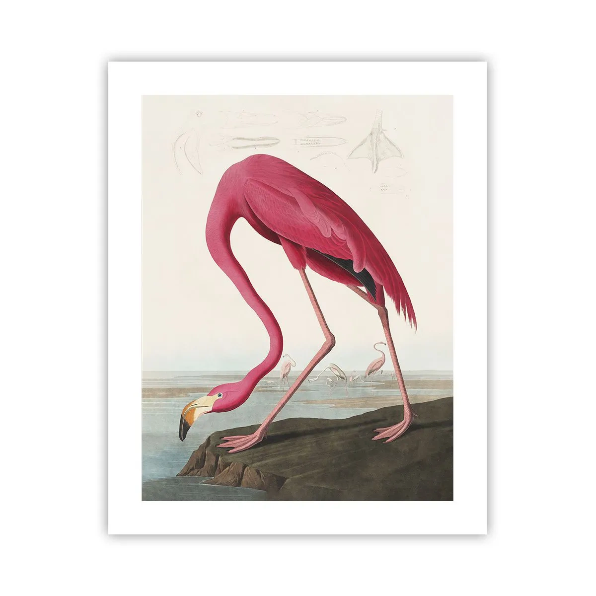 Affiche - Poster - Création étonnante - 40x50 cm