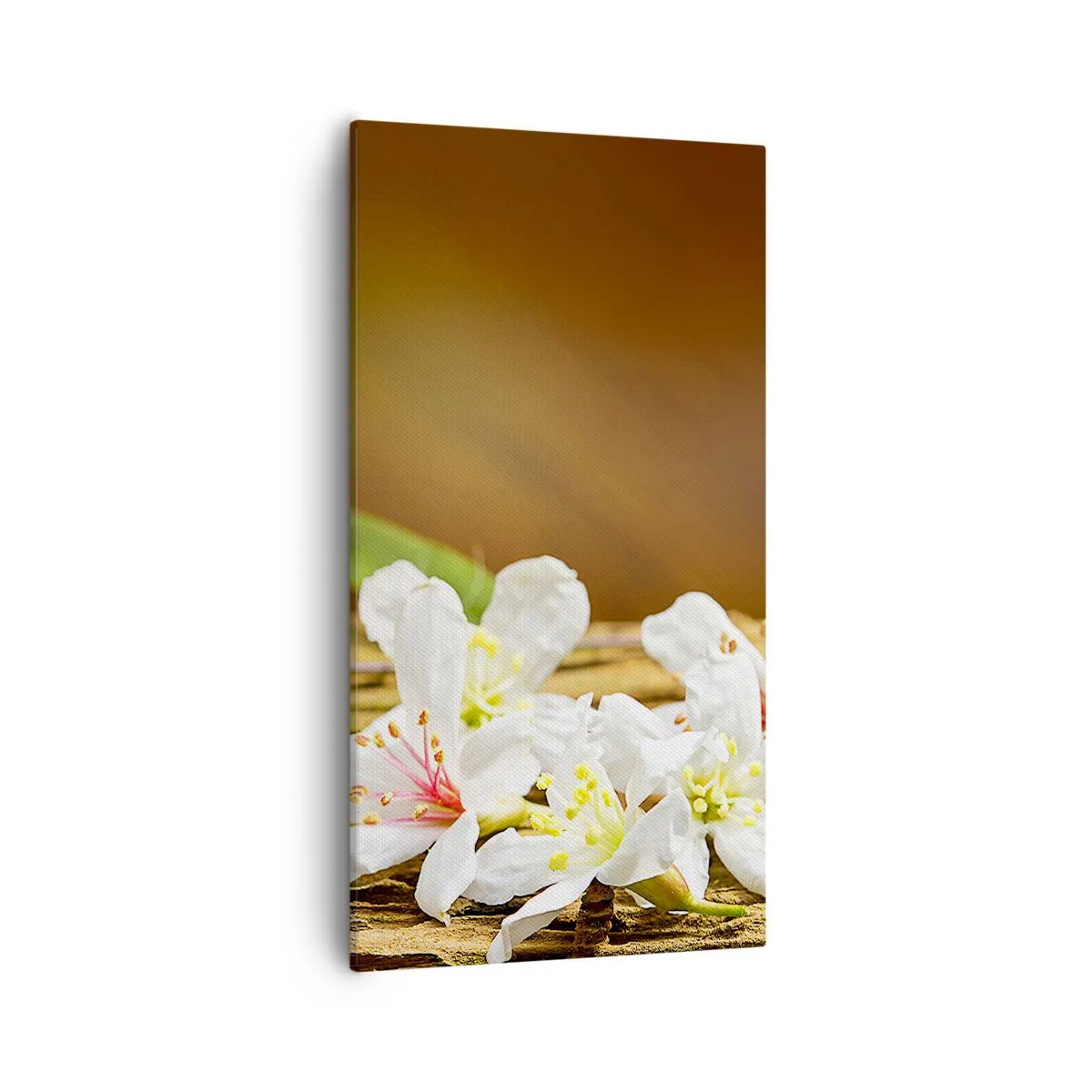 Impression sur toile - Image sur toile - Une promesse innocente - 55x100 cm