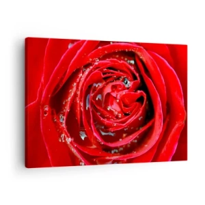 Impression sur toile - Image sur toile - Gros plan d'une rose rouge avec des gouttes d'eau sur les pétales - 70x50cm - Dans les gouttes de rosée - Décoration murale moderne pour le salon et la chambre ARTTOR