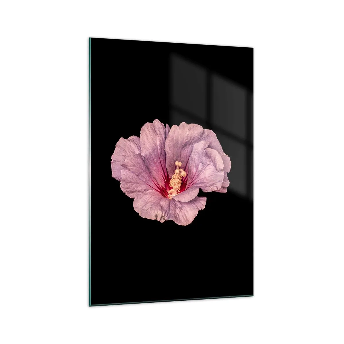 Impression sur verre - Image sur verre - Fleur rose sur fond noir - 70x100cm - Directement au coeur - Décoration murale moderne pour le salon et la chambre ARTTOR