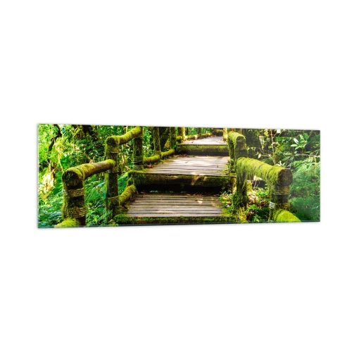 Impression sur verre - Image sur verre - Un pont en bois recouvert de mousse dans une forêt tropicale - 160x50cm - Un couloir de verdure - Décoration murale moderne pour le salon et la chambre ARTTOR