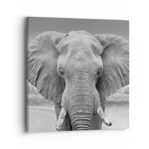 Impression sur toile - Image sur toile - Bienvenue dans mon monde - 40x40 cm