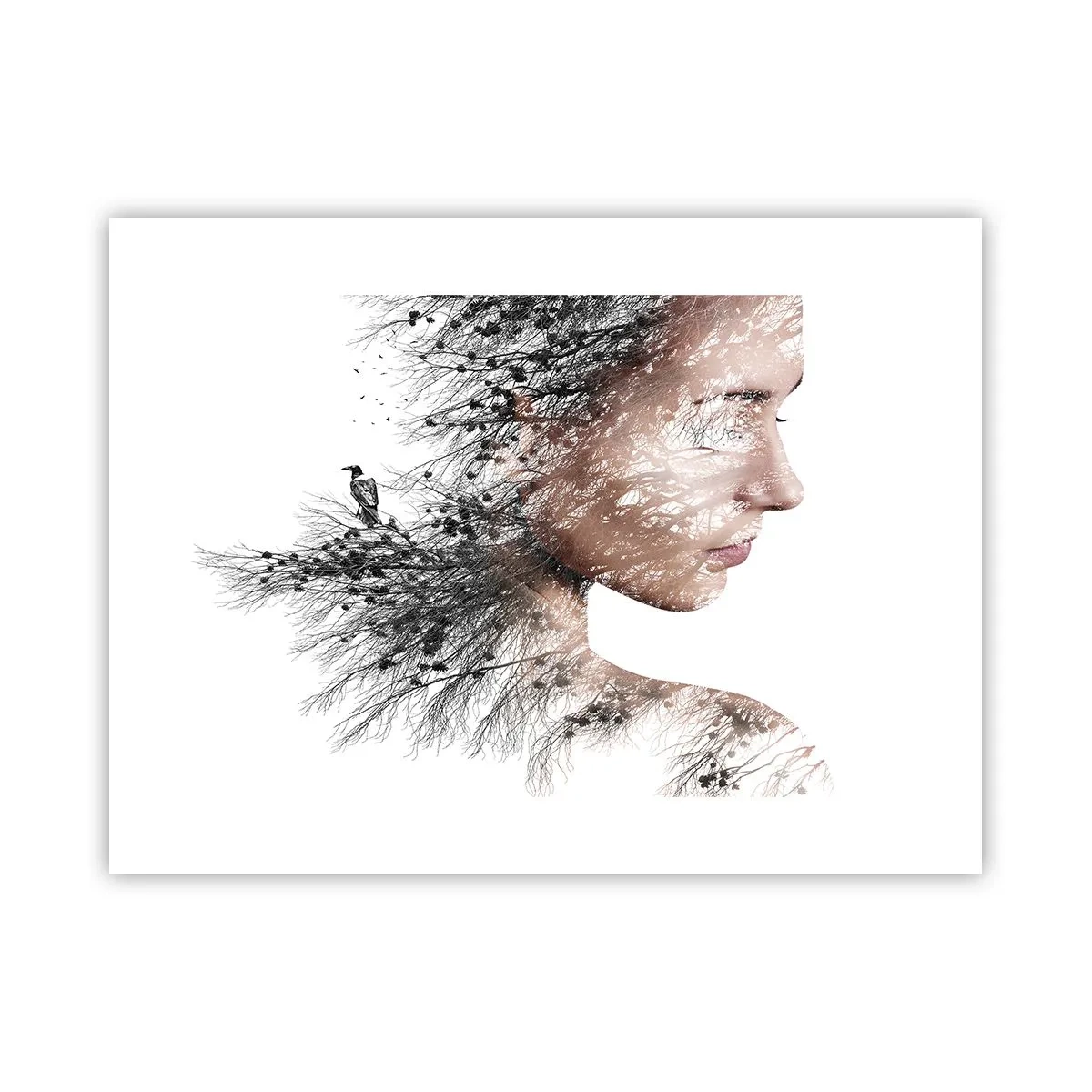 Affiche - Poster - L'âme de la forêt - 40x30 cm