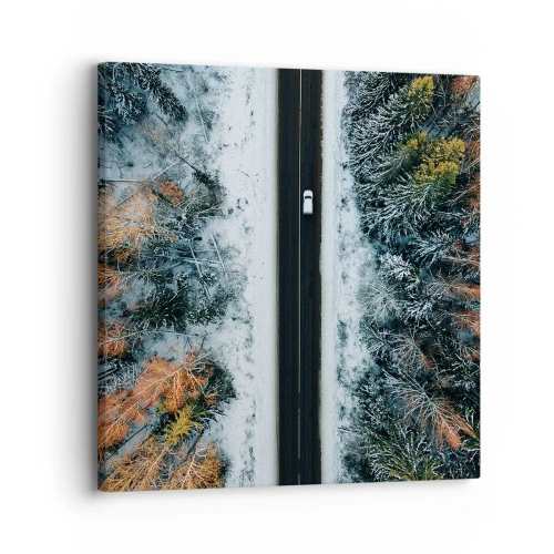 Impression sur toile - Image sur toile - Couper à travers la forêt d'hiver - 30x30 cm