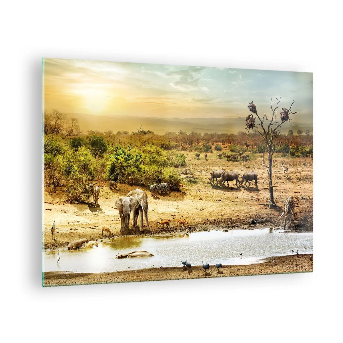 Impression sur verre - Image sur verre - Éléphants et animaux à un point d'eau sur fond de paysage africain - 70x50cm - "Et d'Eden coulait une rivière..." - Décoration murale moderne pour le salon et la chambre ARTTOR