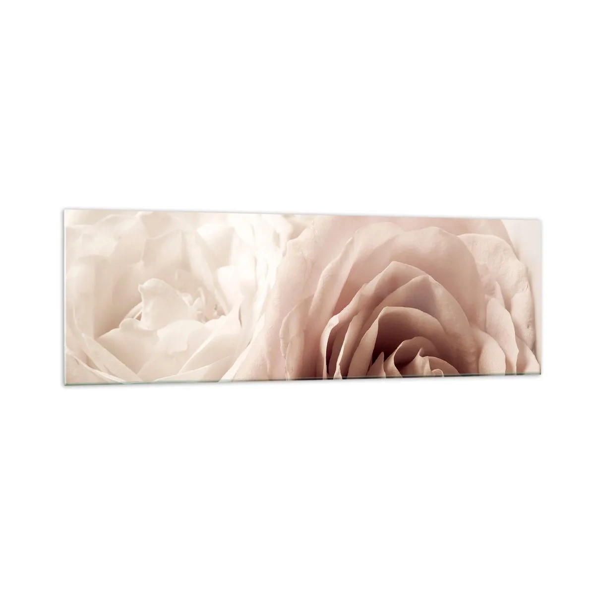 Impression sur verre - Image sur verre - Roses délicates dans des tons pastel de beige - 160x50cm - Au coeur d'ue la rose - Décoration murale moderne pour le salon et la chambre ARTTOR