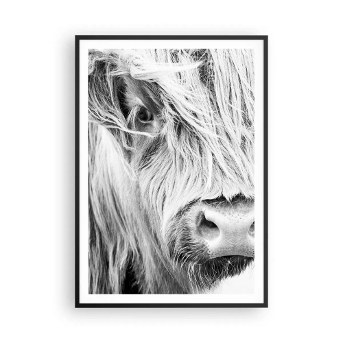 Affiche dans un cadre noir - Poster - Sauvagerie écossaise - 70x100 cm