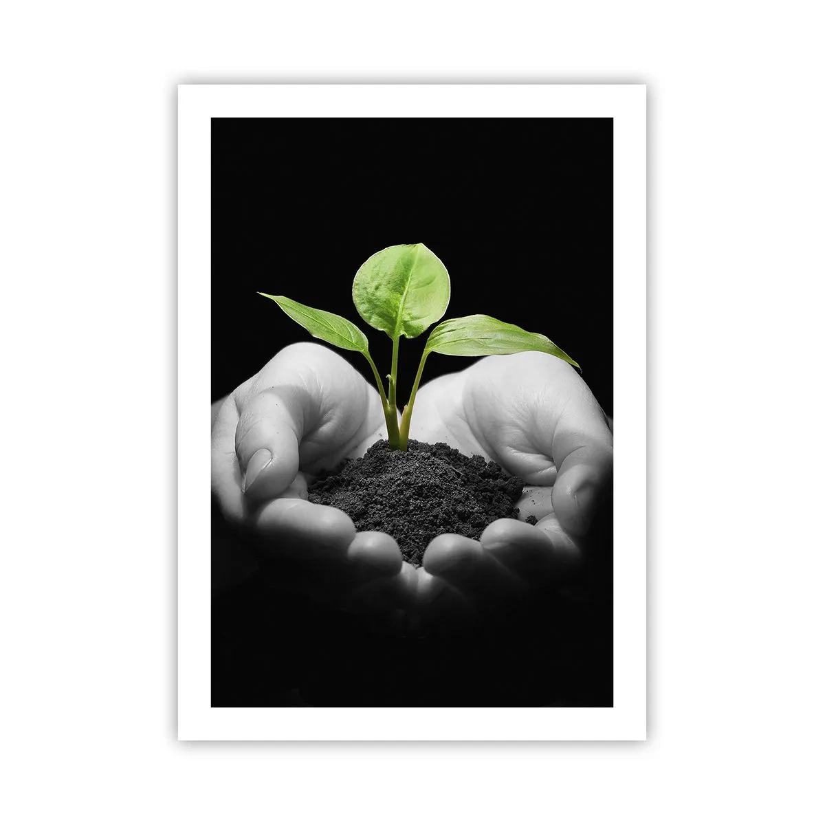 Affiche - Poster - Une plante dans les mains symbolisant la vie et la nature - 50x70cm - J'aime la nature, je la protège - Décoration murale moderne pour le salon et la chambre ARTTOR