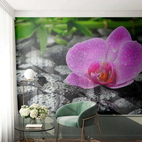 Papier Peint Photo Premium Canvas - Comme un coeur ouvert - Fleurs, Orchidée, Orchidée - 450x315 cm