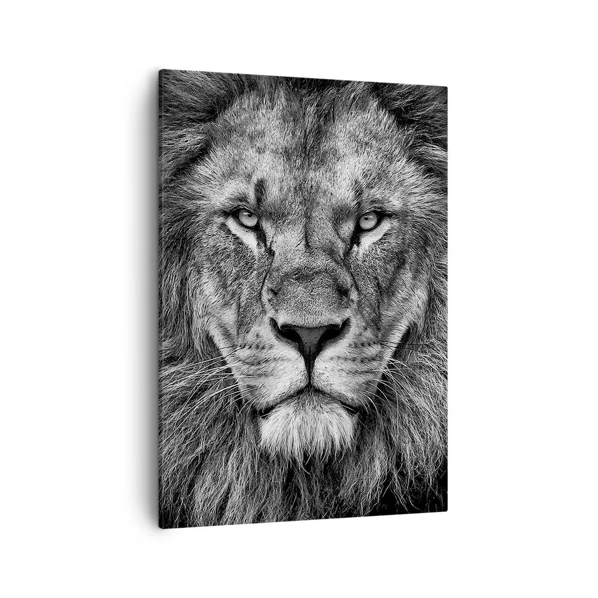 Impression sur toile - Image sur toile - Portrait d'un lion majestueux en noir et blanc - 50x70cm - En vêtement de sacre - Décoration murale moderne pour le salon et la chambre ARTTOR