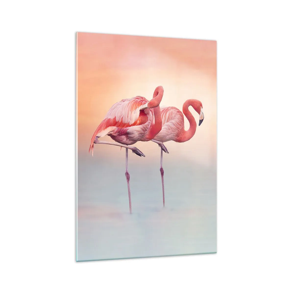 Impression sur verre - Image sur verre - Flamants roses aux couleurs pastel délicates sur fond d'eau - 70x100cm - Dans les couleurs du soleil couchant - Décoration murale moderne pour le salon et la chambre ARTTOR