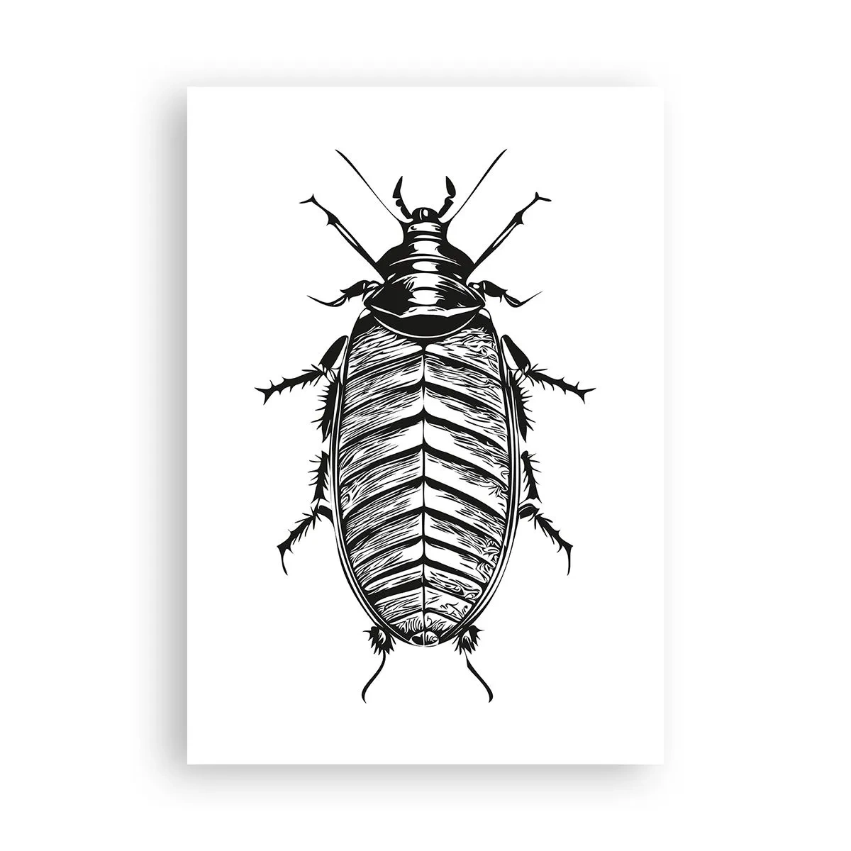 Affiche - Poster - Quel spécimen! - 70x100 cm