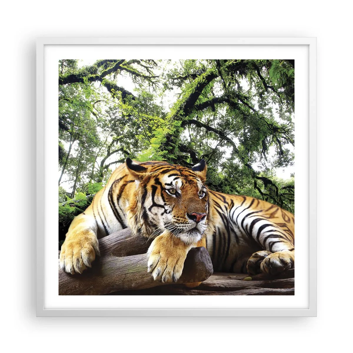 Affiche dans un cadre blanc - Poster - Cordialement - 60x60 cm