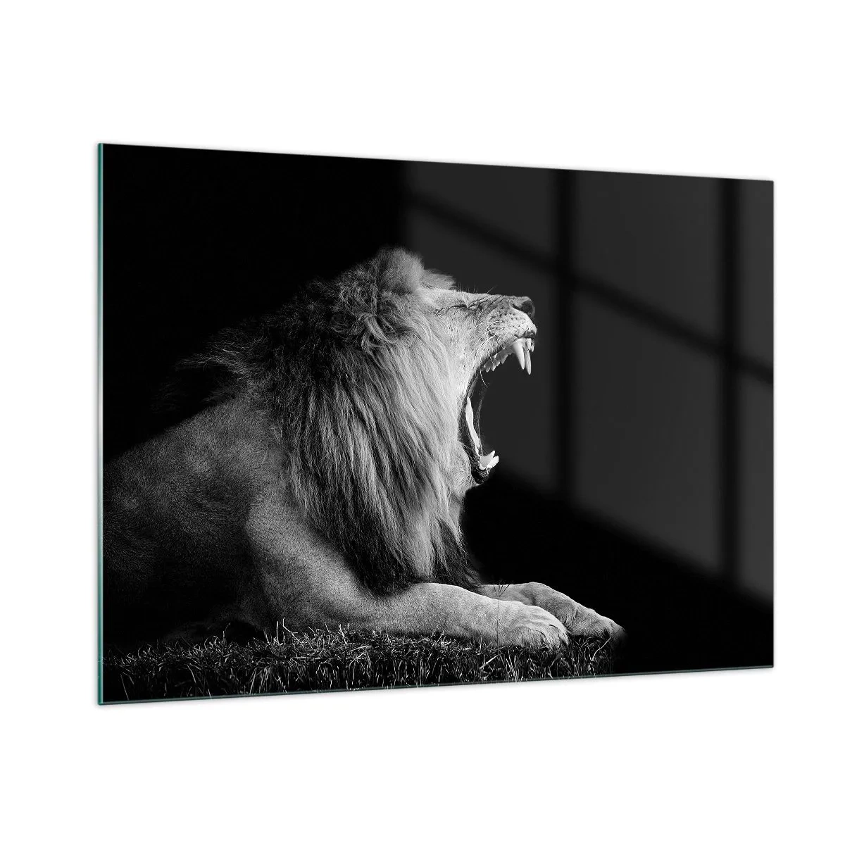 Impression sur verre - Image sur verre - Portrait noir et blanc d'un lion rugissant contre une ombre - 100x70cm - Sans aucun doute - Décoration murale moderne pour le salon et la chambre ARTTOR