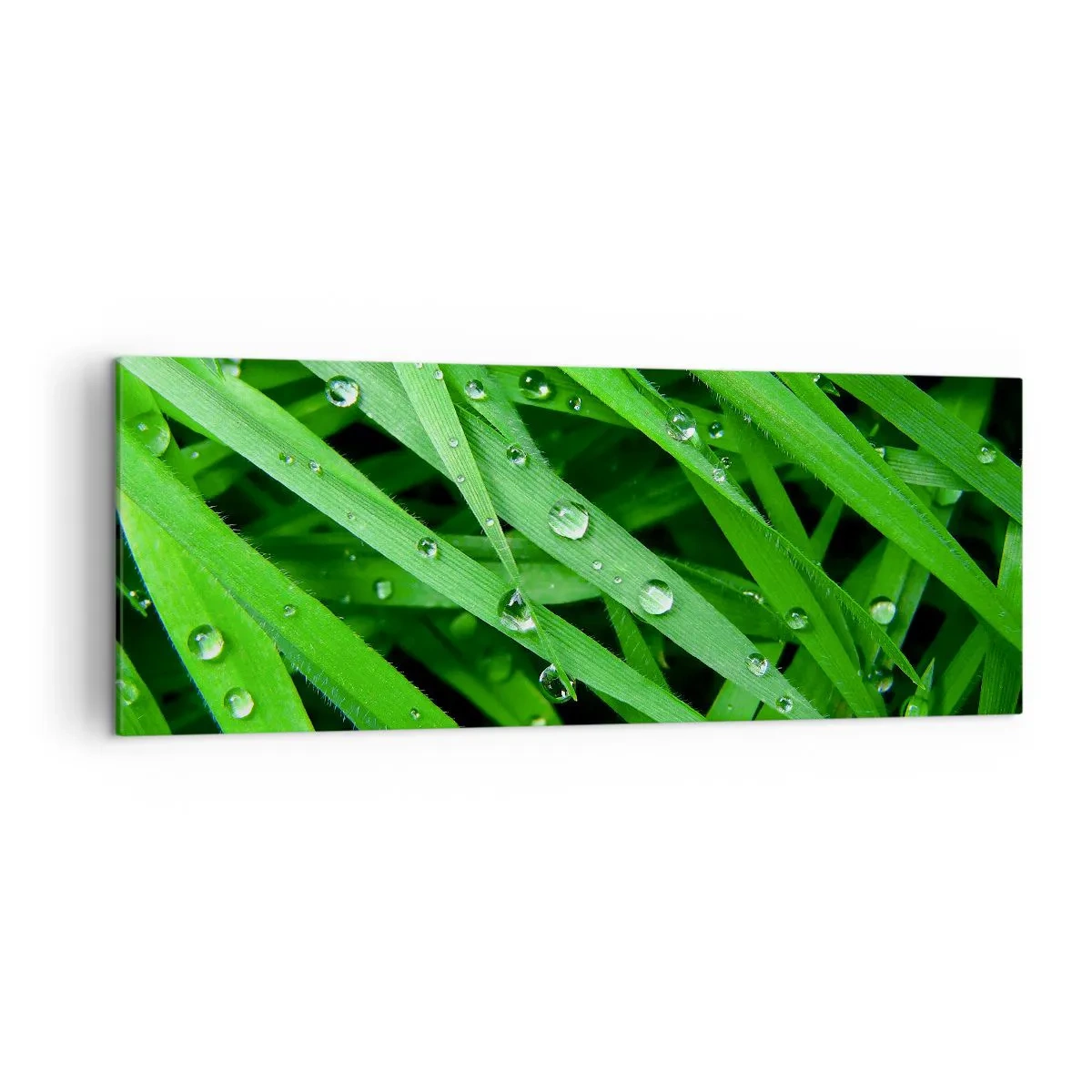 Impression sur toile - Image sur toile - Gros plan de brins d'herbe verte avec des gouttes de rosée - 140x50cm - Jouez dans le vert - Décoration murale moderne pour le salon et la chambre ARTTOR