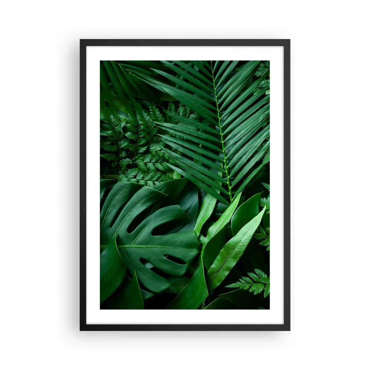 Affiche dans un cadre noir - Poster - La fougère verte et les feuilles de palmier créent un motif tropical - 50x70cm - Emmitouflé de verdure - Décoration murale moderne pour le salon et la chambre ARTTOR