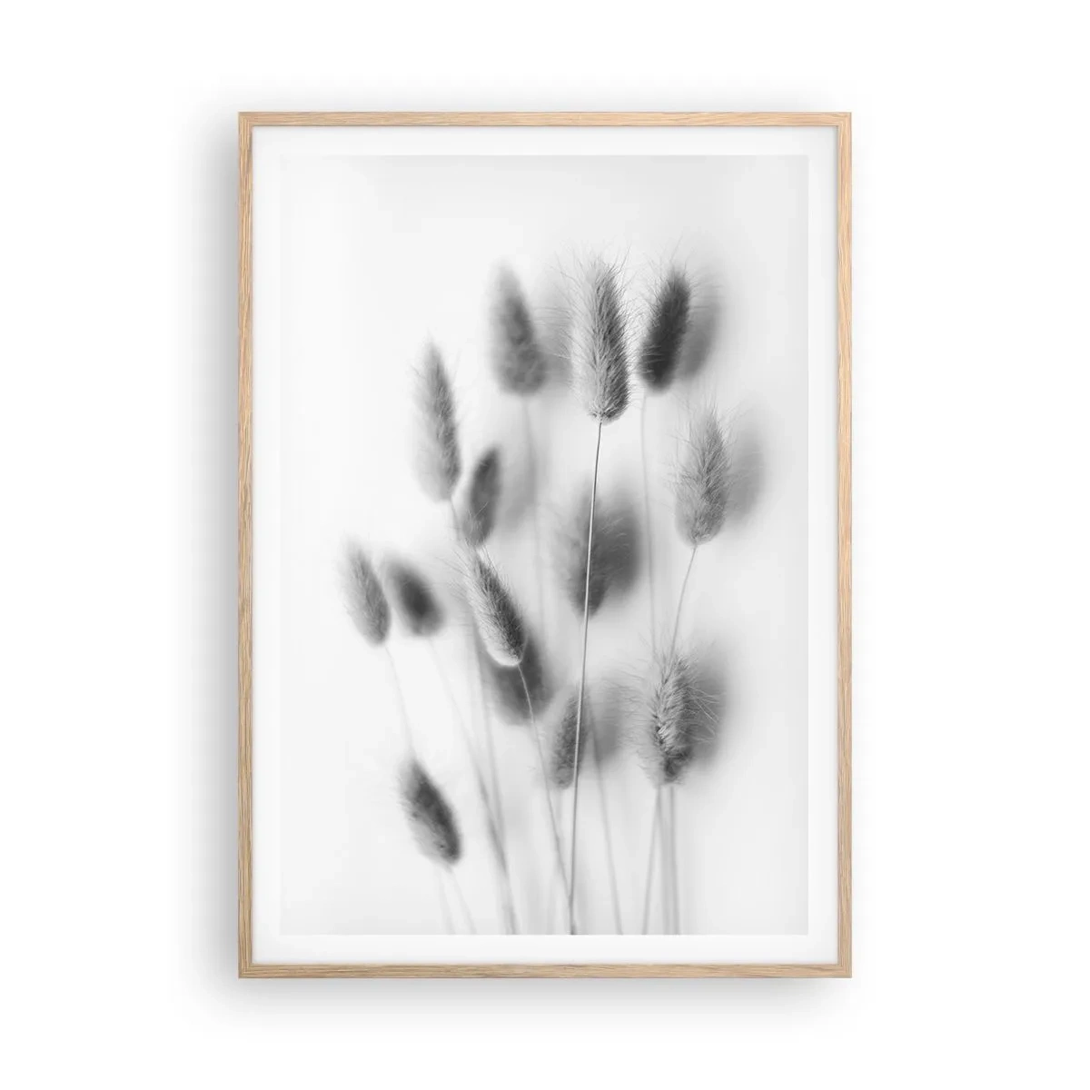 Affiche dans un chêne clair - Poster - Son herbe duveteuse - 70x100 cm
