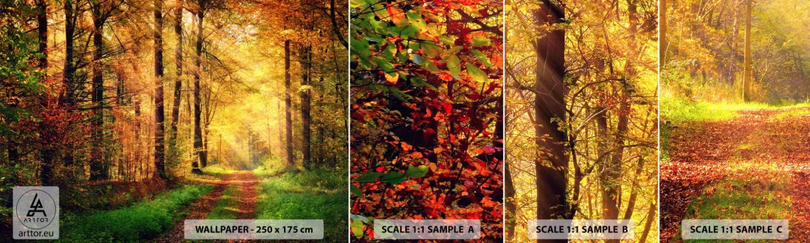 Échantillon De Papier Peint Standard Eco - Silence d'or en forêt - Paysage, Forêt, Route forestière - 100x30 cm