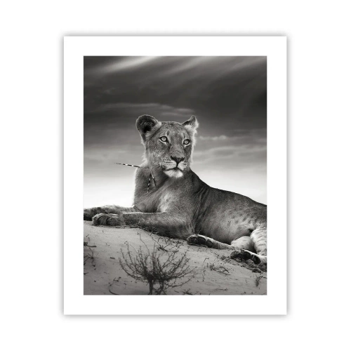 Affiche - Poster - La reine du désert reste - 40x50 cm