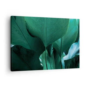 Impression sur toile - Image sur toile - Feuilles vertes dans une composition minimaliste - 70x50cm - Tourné vers la lumière - Décoration murale moderne pour le salon et la chambre ARTTOR