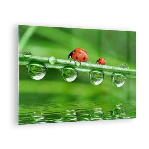 Impression sur verre - Image sur verre - Coccinelles sur un brin d'herbe avec des gouttes de rosée et un reflet dans l'eau - 70x50cm - Sur la route tout l'été - Décoration murale moderne pour le salon et la chambre ARTTOR