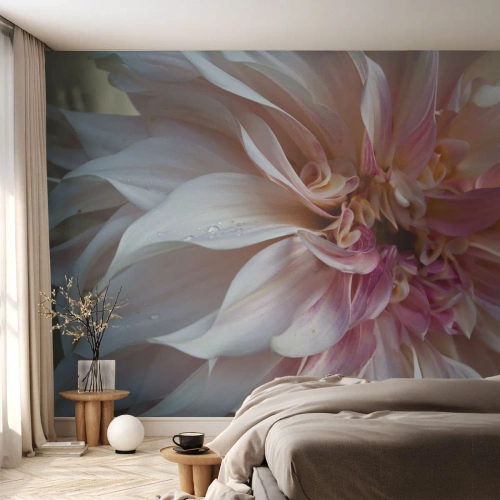 Papier Peint Autocollant Deluxe Sticker - Fraîcheur fleurissante - Fleur, Dahlia, Usine - 400x280 cm
