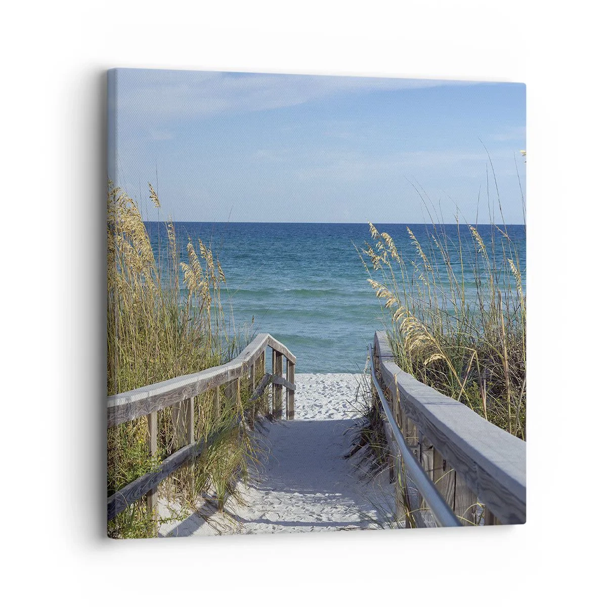 Impression sur toile - Image sur toile - Au soleil, sous le vent - 30x30 cm