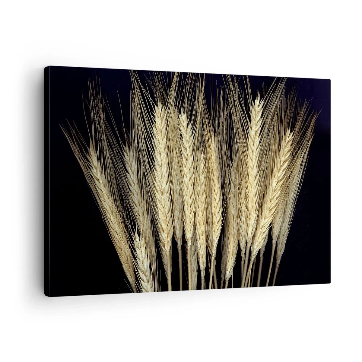 Impression sur toile - Image sur toile - Épis de blé sur fond noir dans un style rustique - 70x50cm - Magie rustique - Décoration murale moderne pour le salon et la chambre ARTTOR