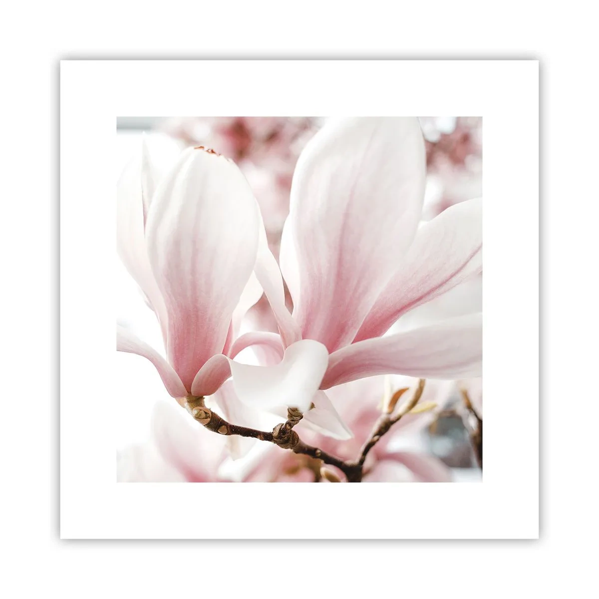 Affiche - Poster - Abondance de tendresse - 30x30 cm