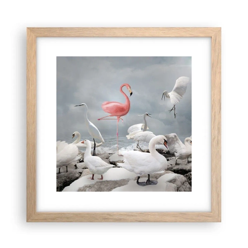 Affiche dans un chêne clair - Poster - Comment suis-je arrivé là? - 30x30 cm