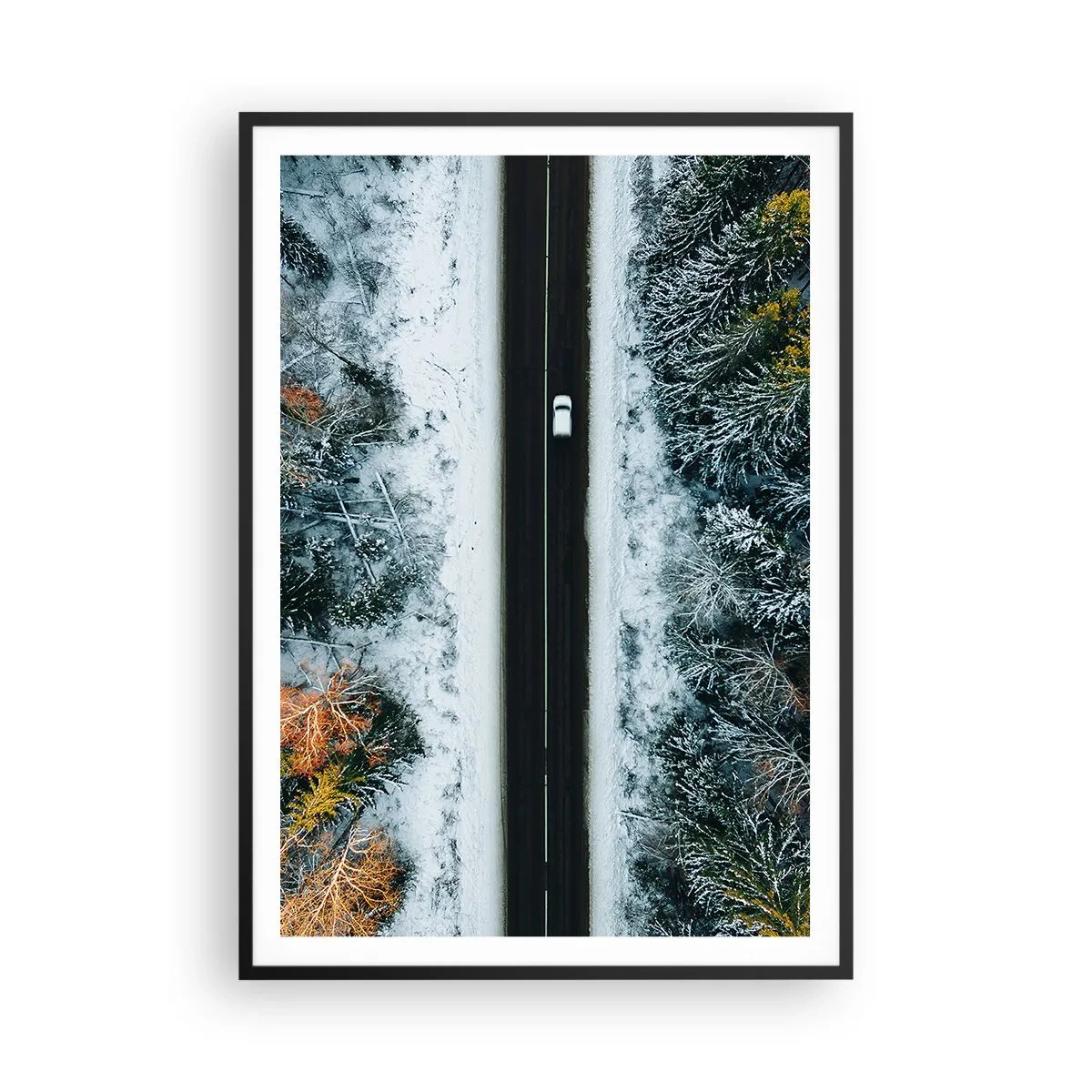 Affiche dans un cadre noir - Poster - Couper à travers la forêt d'hiver - 70x100 cm