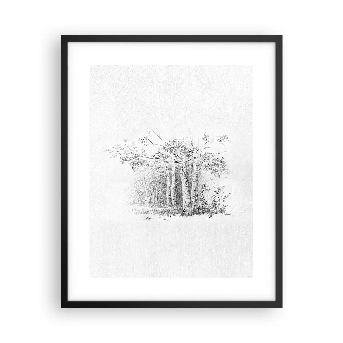 Affiche dans un cadre noir - Poster - Lumière d'une forêt de bouleaux - 40x50 cm