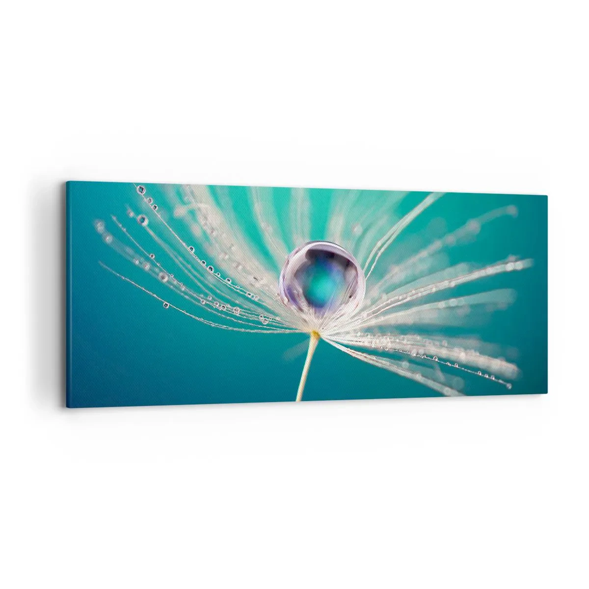 Impression sur toile - Image sur toile - Macro d'une goutte d'eau sur une délicate graine de pissenlit - 120x50cm - Moment mystique - Décoration murale moderne pour le salon et la chambre ARTTOR