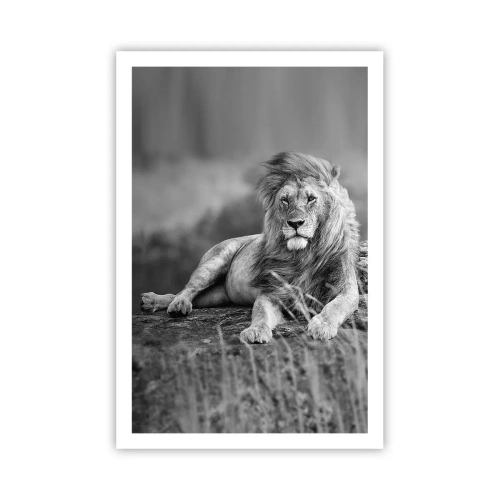 Affiche - Poster - Sieste royale - 61x91 cm