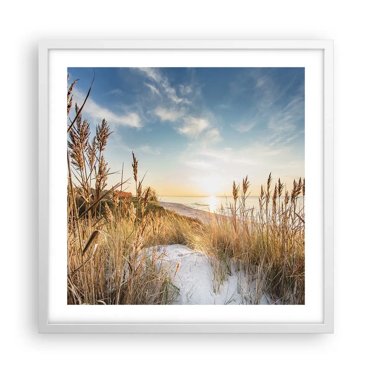 Affiche dans un cadre blanc - Poster - Plage du nord - 50x50 cm