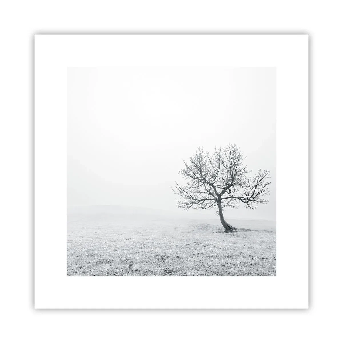 Affiche - Poster - Contre le néant - 30x30 cm