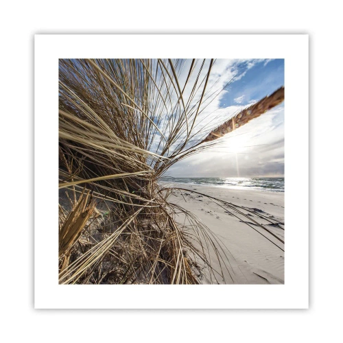 Affiche - Poster - Rencontre des éléments - 40x40 cm