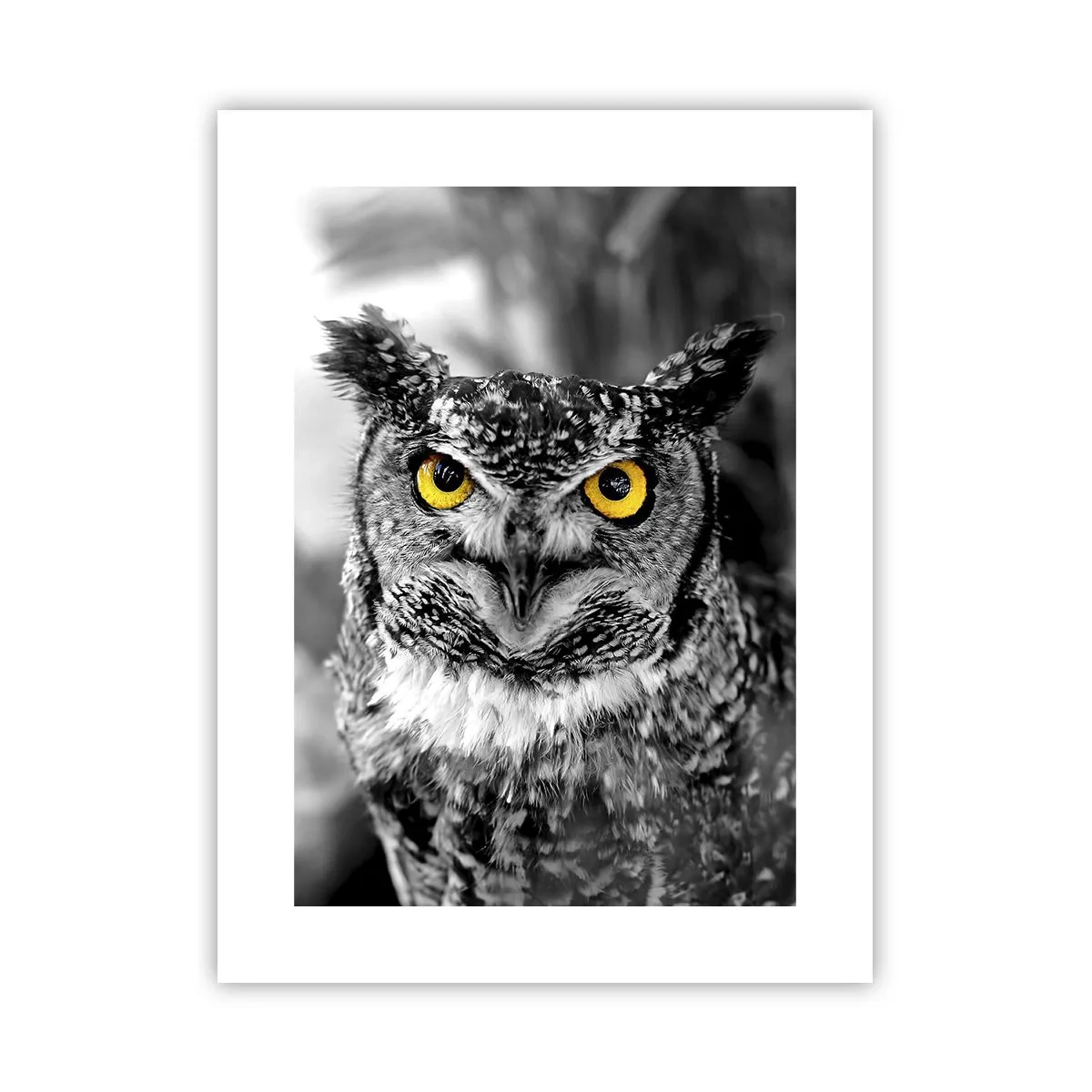 Affiche - Poster - Rien ne se cachera - 30x40 cm